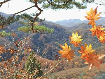 四川宜宾，疫情防控成效显著，守护人民健康安全,四川宜宾疫情防控成效显著